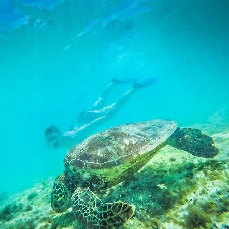 Tailua Beach Fales Manase Екстер'єр фото